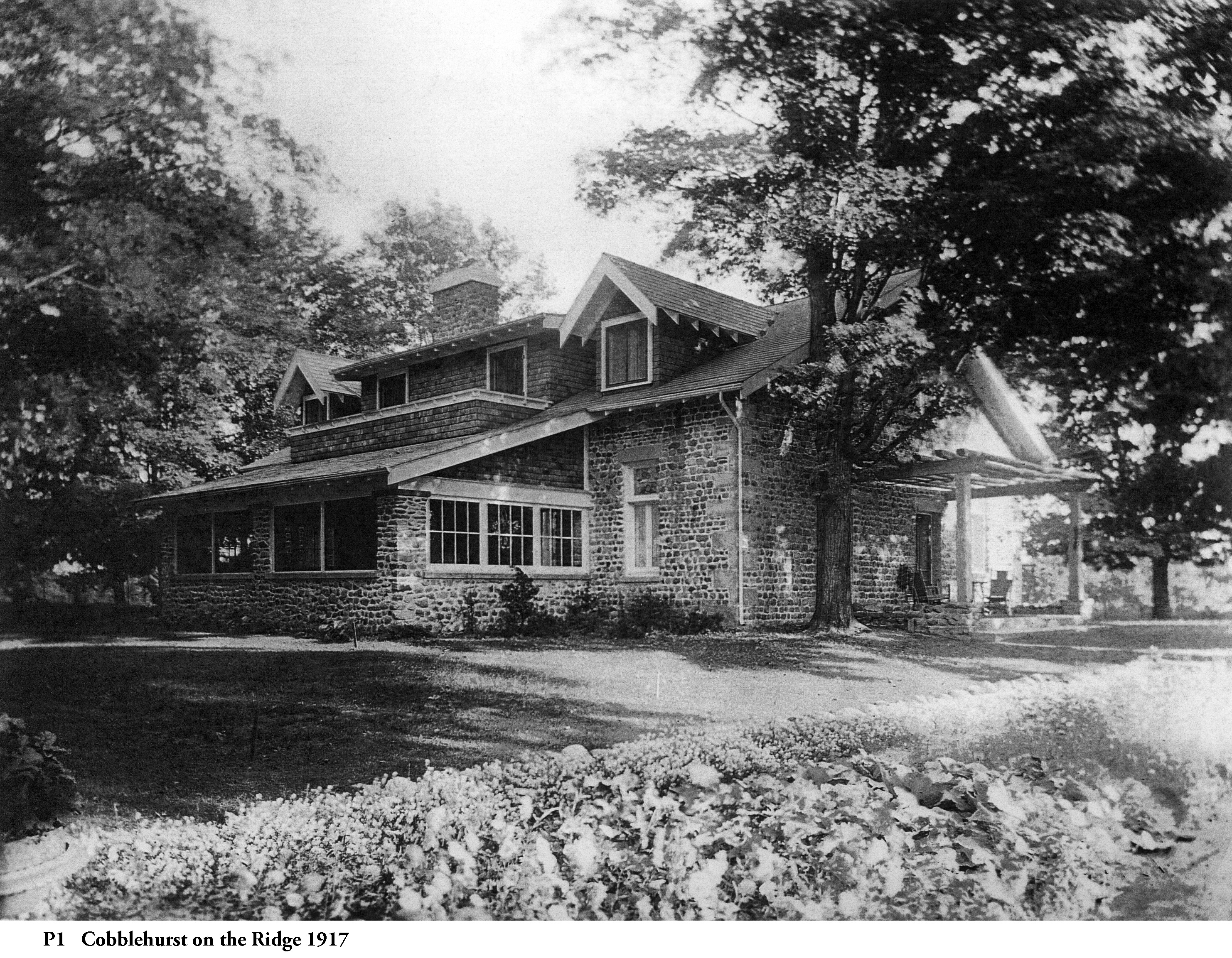 P1 Cobblehurst 1917 20230406_08345212